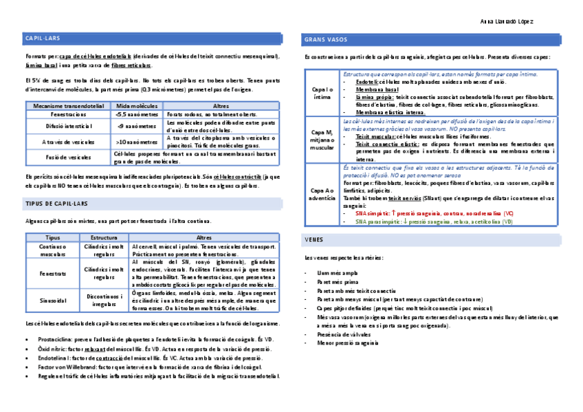Miniatura del documento Resum-primer-parcial.pdf