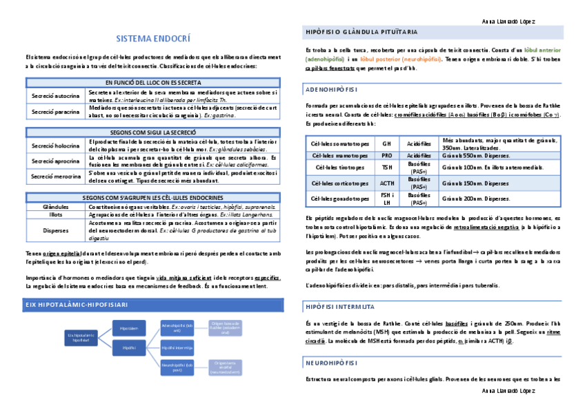 Miniatura del documento Resum-segon-parcial.pdf