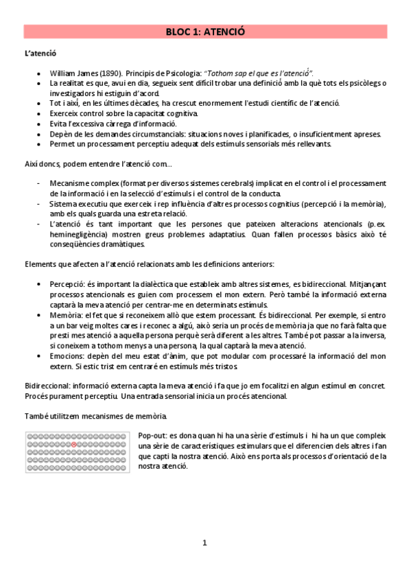 Miniatura del documento bloc-atencio.pdf
