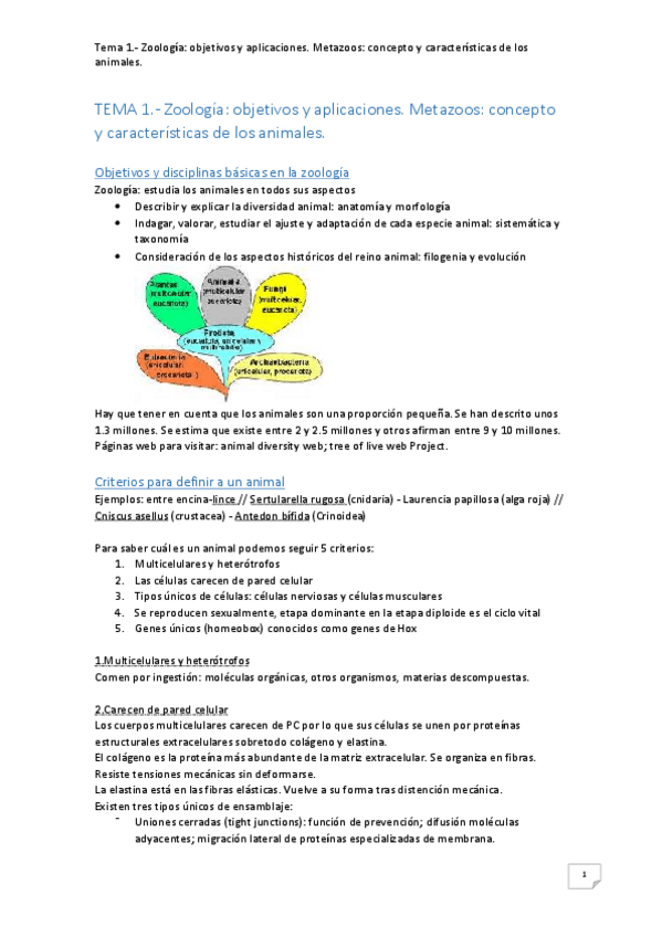 Miniatura del documento Zoologia-Temario.pdf