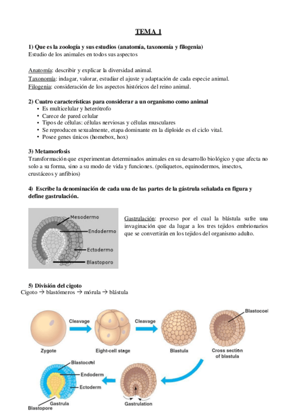 Miniatura del documento EXAMEN-ZOOLOGIA-PREGUNTAS.pdf