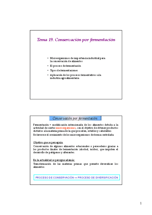 Miniatura del documento Tema-19-Bioconservacion-por-fermentacion.pdf