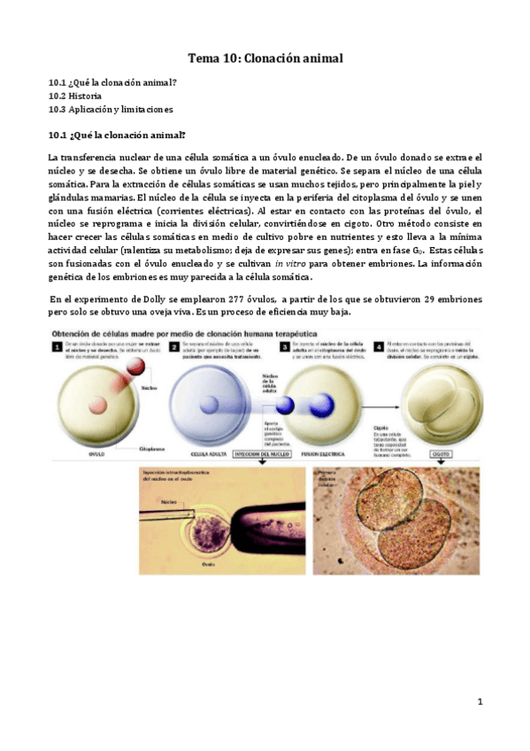 Miniatura del documento Tema 10.pdf