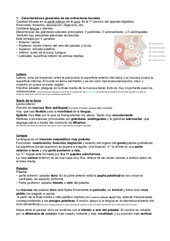 Miniatura del documento Introduccion-a-la-odontologia-tema-1.pdf