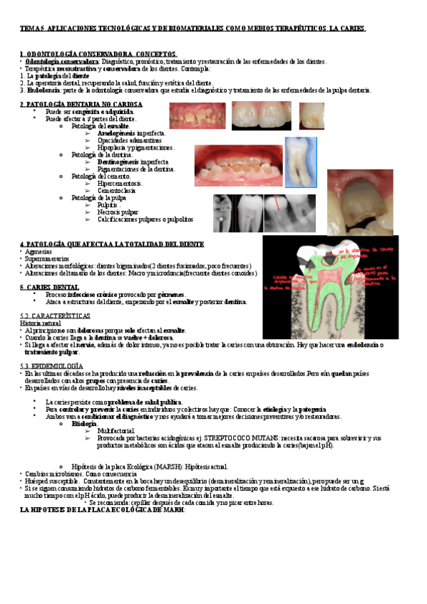 Miniatura del documento Tema-5.pdf