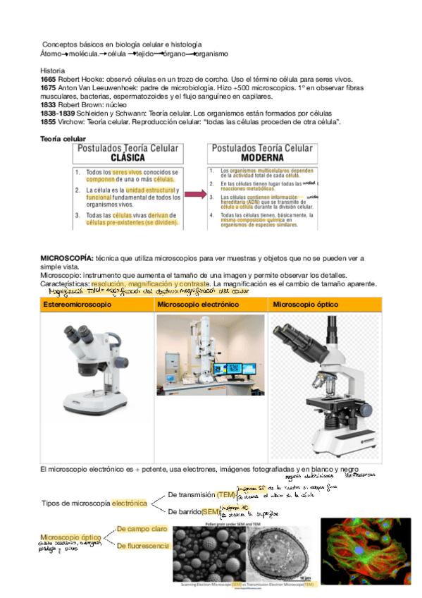 Miniatura del documento T1-Apuntes-.pdf