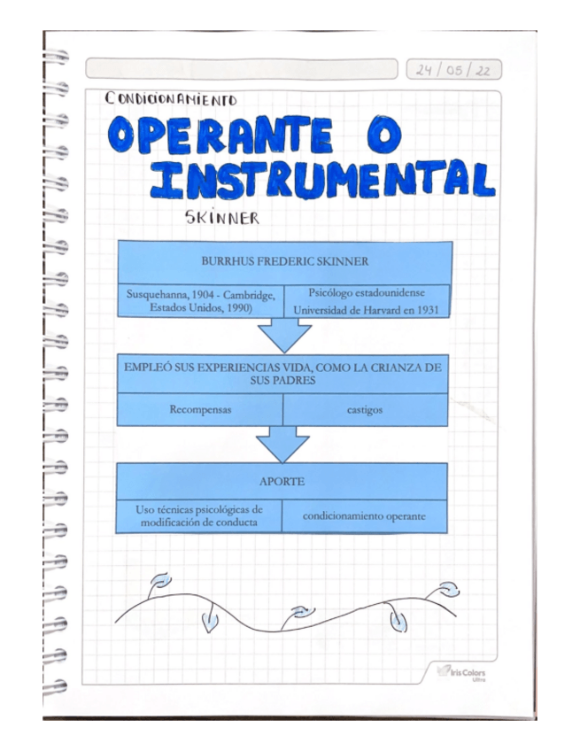 Miniatura del documento CONDICIONAMIENTO-OPERANTE.pdf