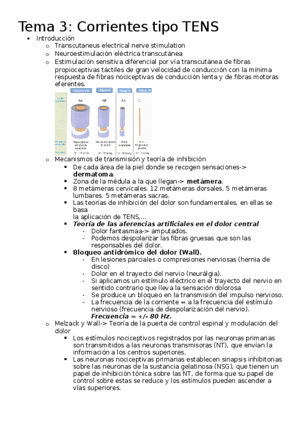 Miniatura del documento Tema-3.docx