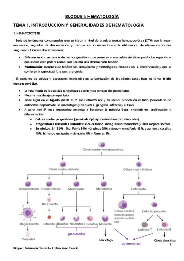 Miniatura del documento Tema-1.pdf