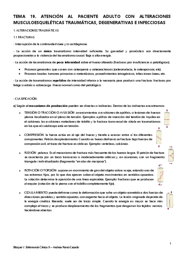 Miniatura del documento Tema-19.pdf