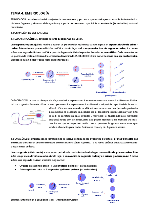 Miniatura del documento Tema-4.pdf