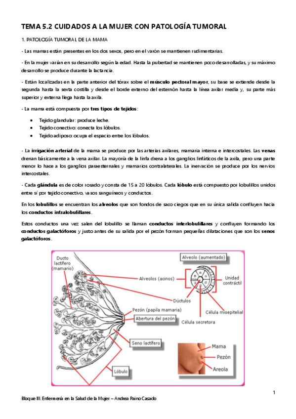 Miniatura del documento Tema-5.pdf