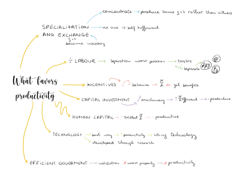 Miniatura del documento Favours-productivity.pdf