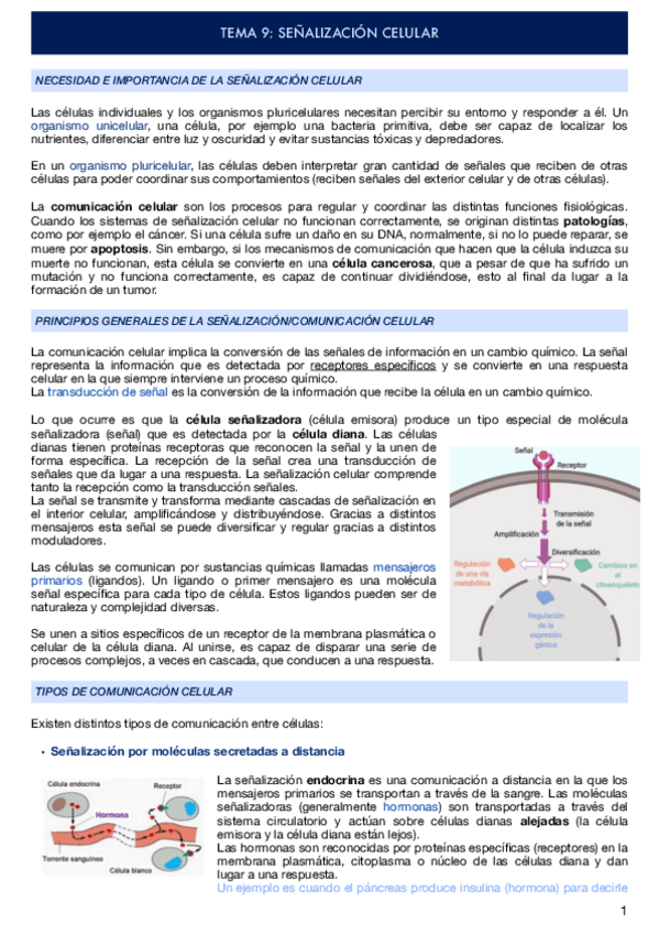 Miniatura del documento TEMA-9-SENALIZACION-CELULAR.pdf
