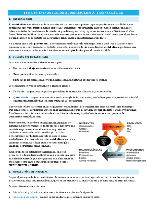 Miniatura del documento TEMA-10-INTRO-AL-METABOLISMO.pdf