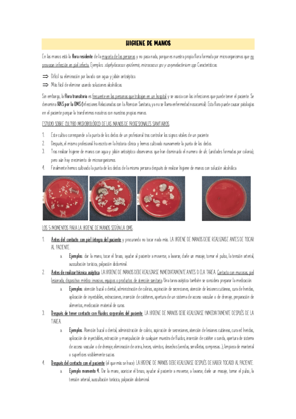 Miniatura del documento TEMA-2.pdf