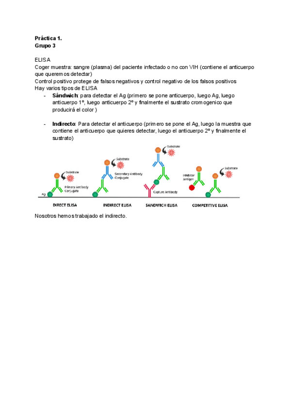 Miniatura del documento Practicas-viro-1.pdf