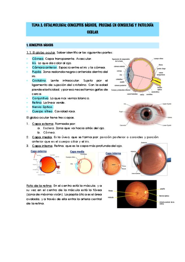 Miniatura del documento TEMA-3.pdf