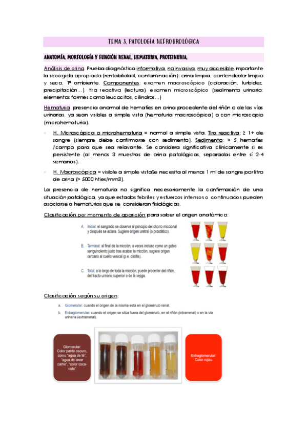 Miniatura del documento TEMA-3.pdf