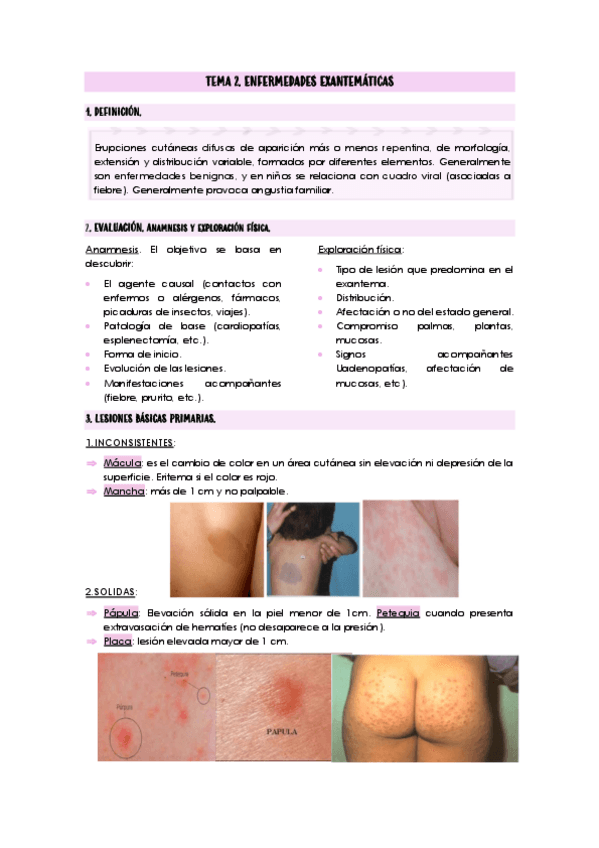 Miniatura del documento TEMA-2.pdf