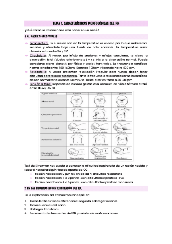 Miniatura del documento TEMA-1.pdf