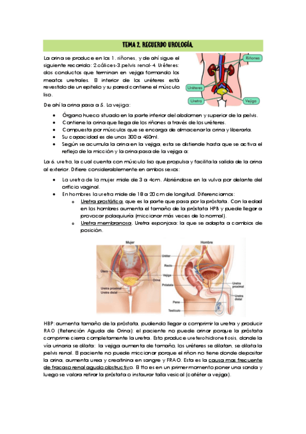 Miniatura del documento TEMA-2.pdf