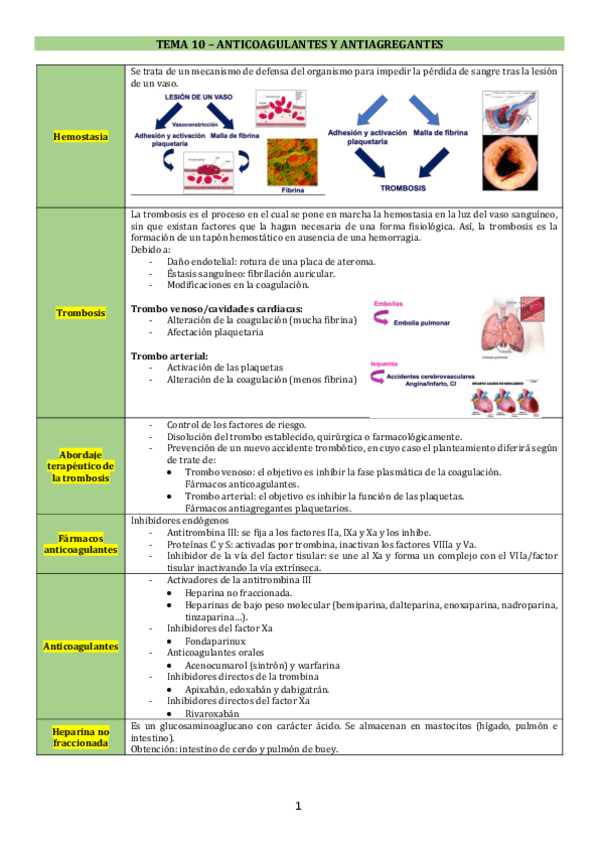 Miniatura del documento TEMA-10.pdf