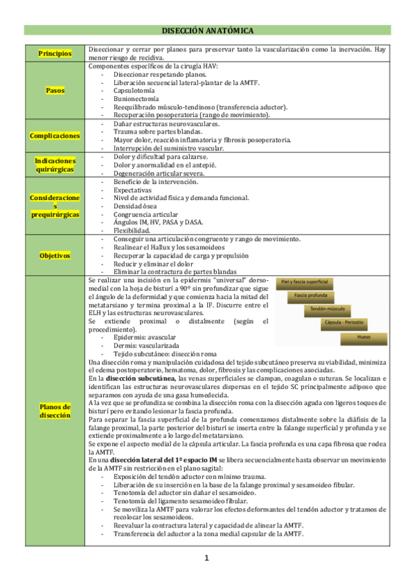 Miniatura del documento X-Diseccion-anatomica.pdf
