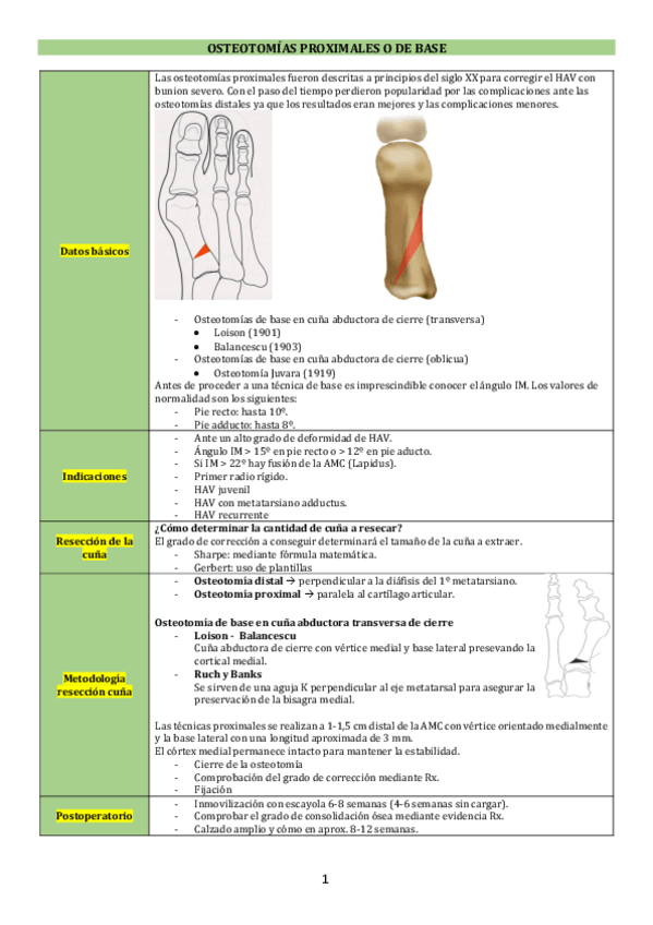 Miniatura del documento X-Osteotomias-proximales-.pdf