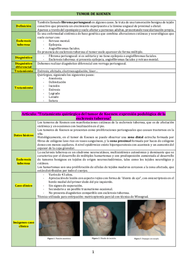 Miniatura del documento X-Tumor-de-Koenen.pdf