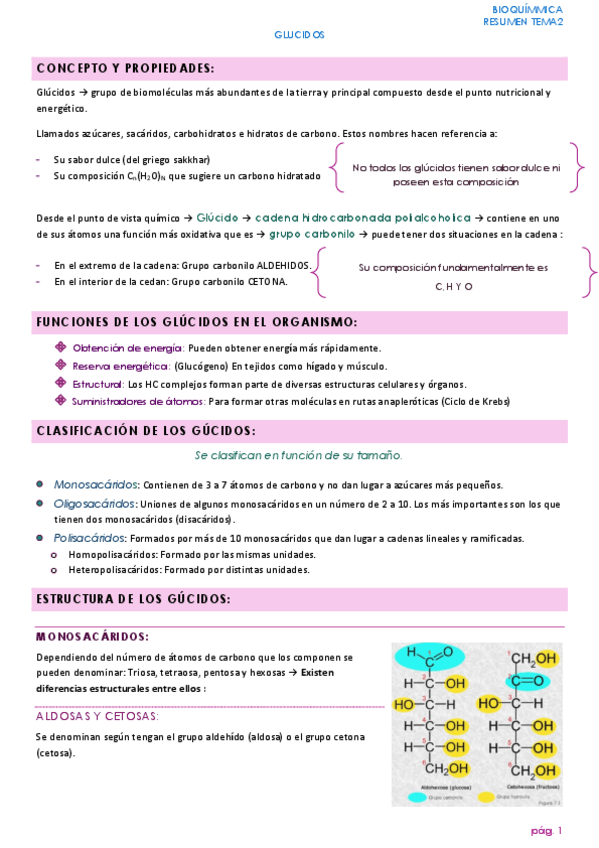 Miniatura del documento Glúcidos Resumen Bioquímica 2 año