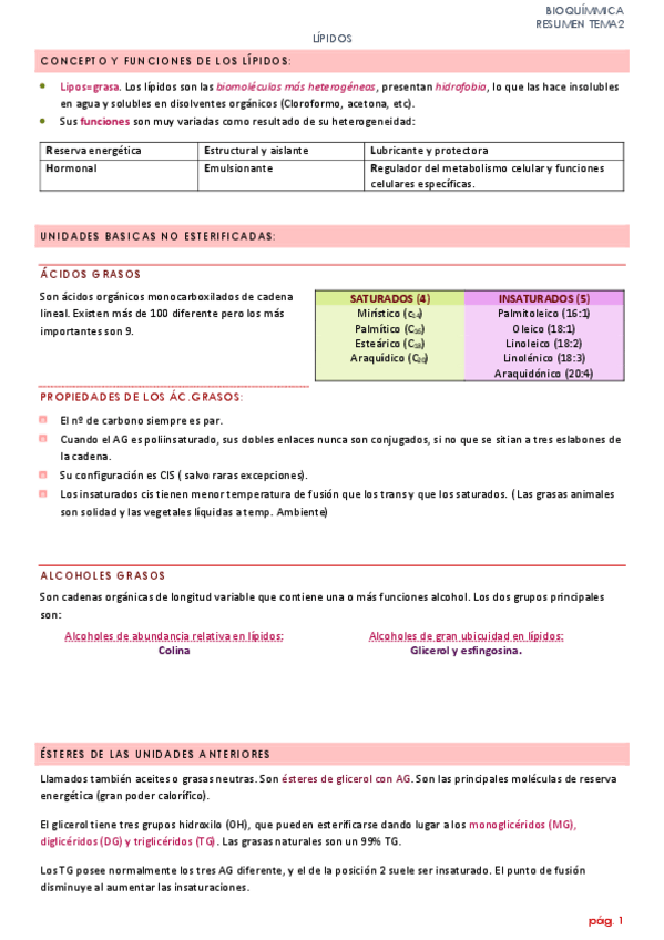 Miniatura del documento Lípidos Resumen Bioquímica 2 año