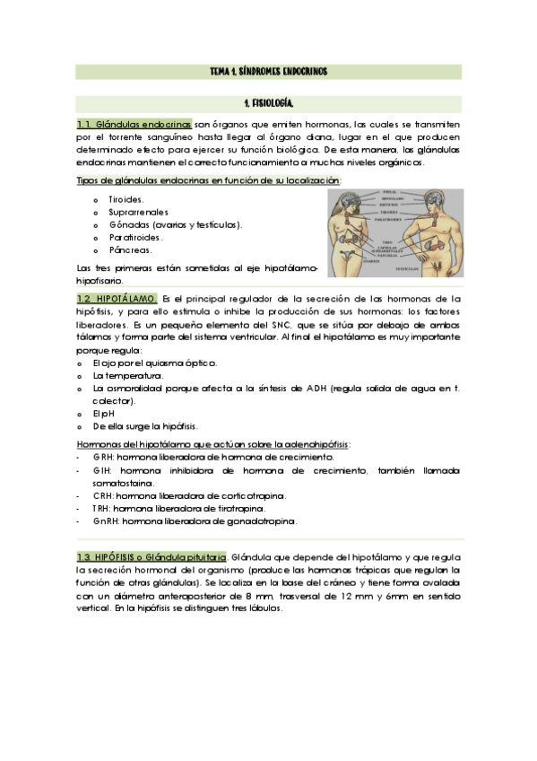 Miniatura del documento ALBERTO-APUNTES.pdf