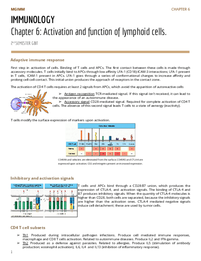 Miniatura del documento Chapter-6-Activation-and-function-of-lymphoid-cells.pdf