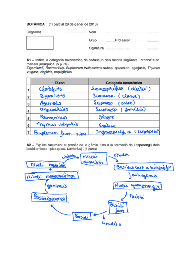 Miniatura del documento examens parcials botanica.pdf
