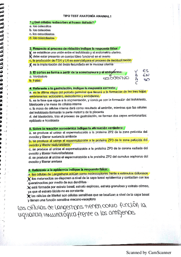 Miniatura del documento anatomia-1.pdf