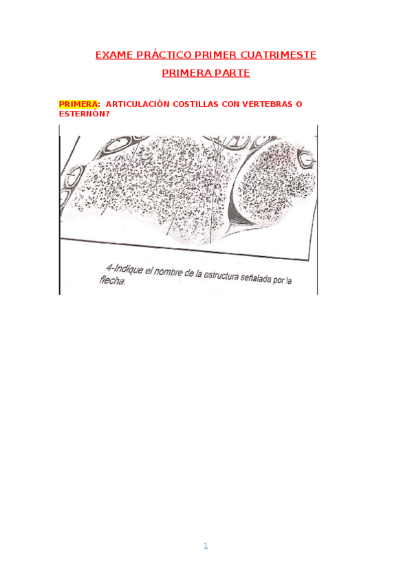 Miniatura del documento EXAMEN-PRACTICO.docx