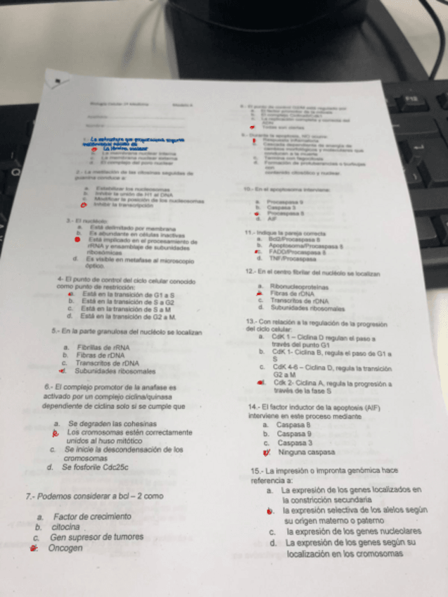 Miniatura del documento Bloc-de-notas-sin-titulo-1.pdf