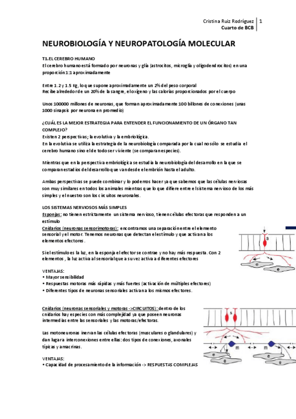 Miniatura del documento NEUROBIOLOGIA-Y-NEUROPATOLOGIA-MOLECULAR-WENO-3.pdf