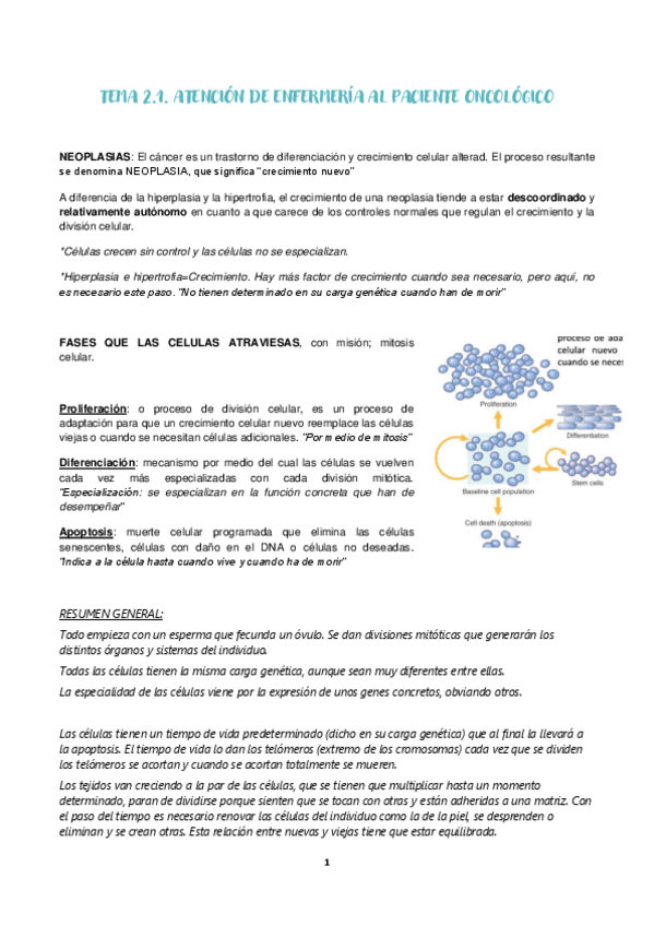 Miniatura del documento TEMA-2.pdf