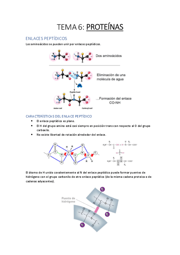Miniatura del documento TEMA-1.pdf
