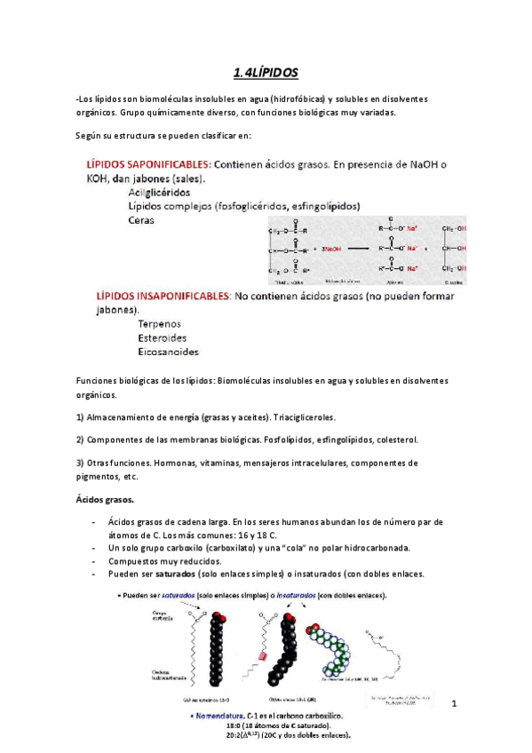 Miniatura del documento TEMA-1.pdf