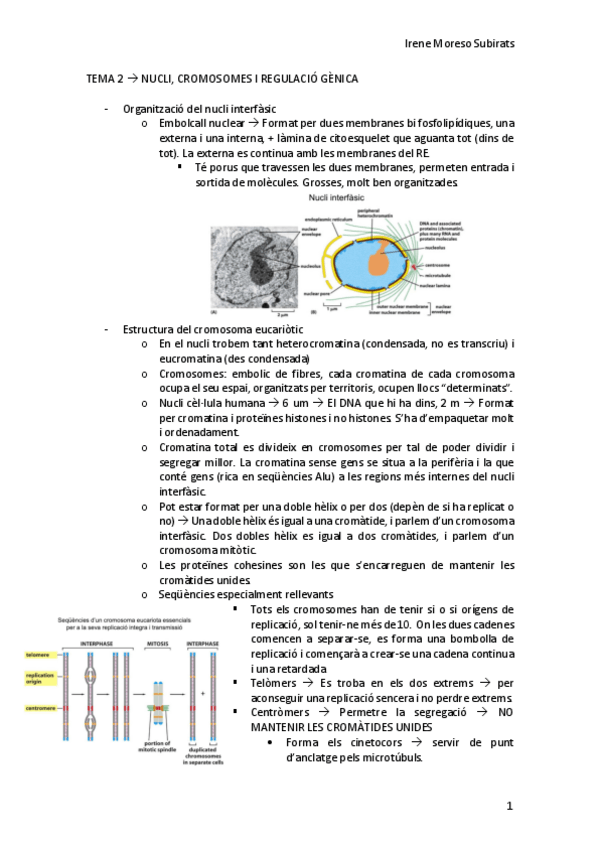 Miniatura del documento Tema-2-11.pdf