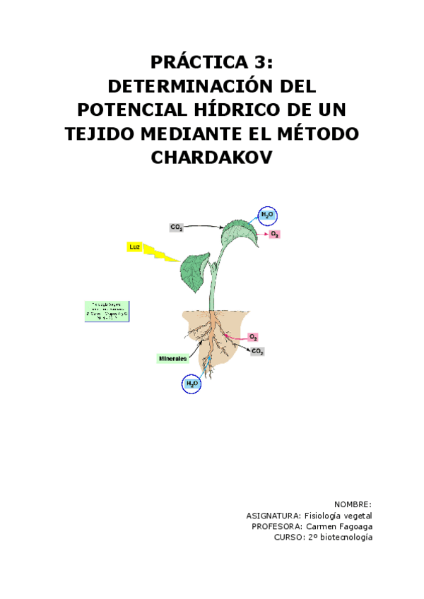 Miniatura del documento Practica-3-Fisio.pdf