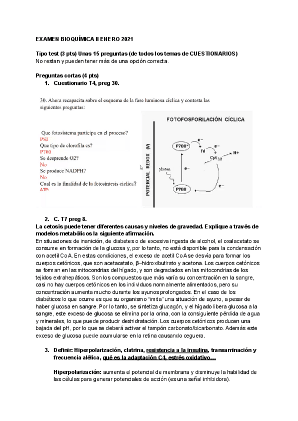 Miniatura del documento EXAMEN-BIOQUIMICA-II-ENERO-2021.pdf