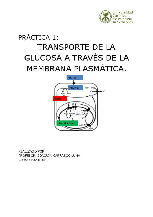 Miniatura del documento PRACTICA-1.pdf