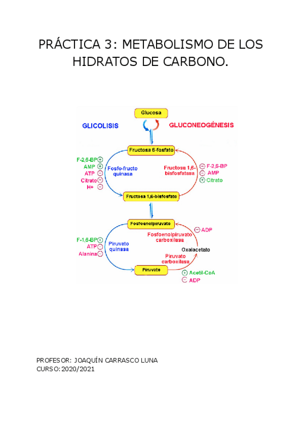 Miniatura del documento PRACTICA-3-BIOQUIMICA.pdf
