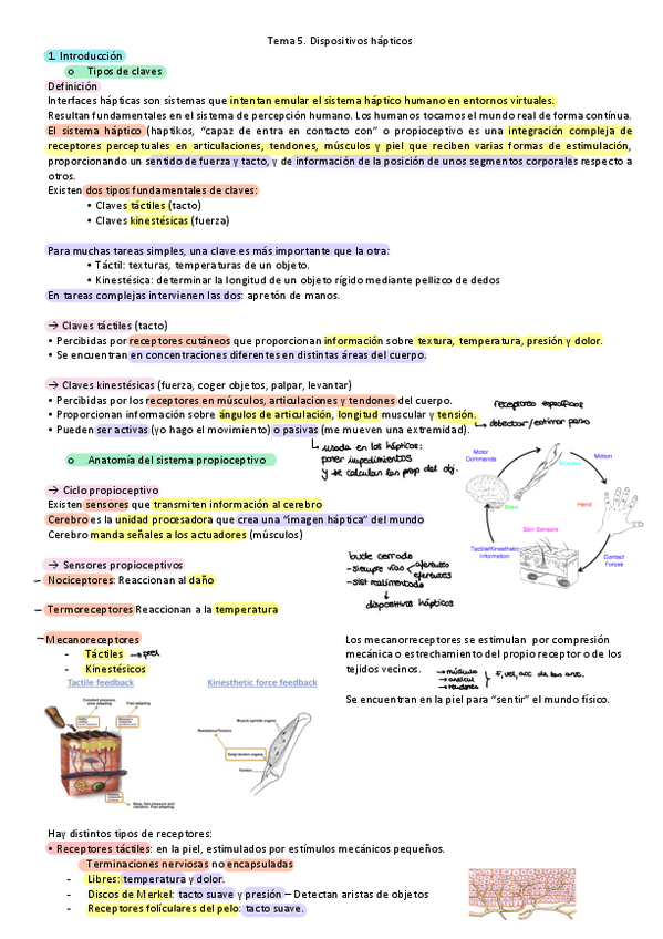 Miniatura del documento T5.pdf