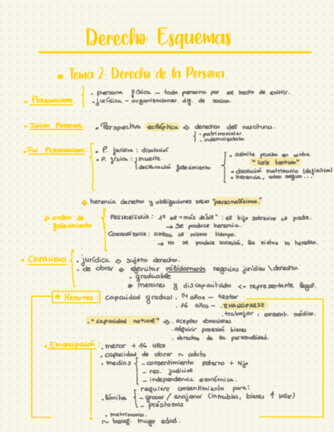 Miniatura del documento Mindmap-Derecho.pdf