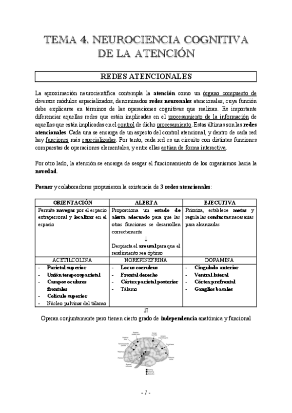 Miniatura del documento TEMA-4-Atencion.pdf